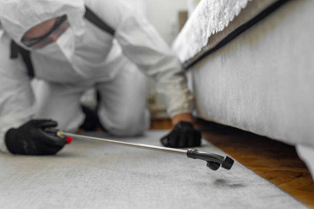 Professional Bed Bug Control technician working in Presque Isle County County, MI
